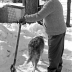 corn-husks_jeff-thomas_010_1980_bert-general