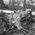 corn-husks_jeff-thomas_011_1980_six-nations-reserve-ontario