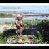 postcards-for-indians_jeff-thomas_005_2006_lethbridge-alberta