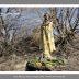 postcards-for-indians_jeff-thomas_008_2009_oshawa-ontario
