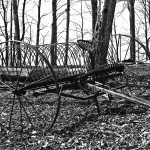 an old metal hay rake with barren fall trees in the background