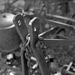 the detail of old farm machinery