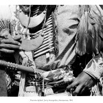 image of the torso of a powwow dancer in traditional attire, detail of belt, neck and chest regalia